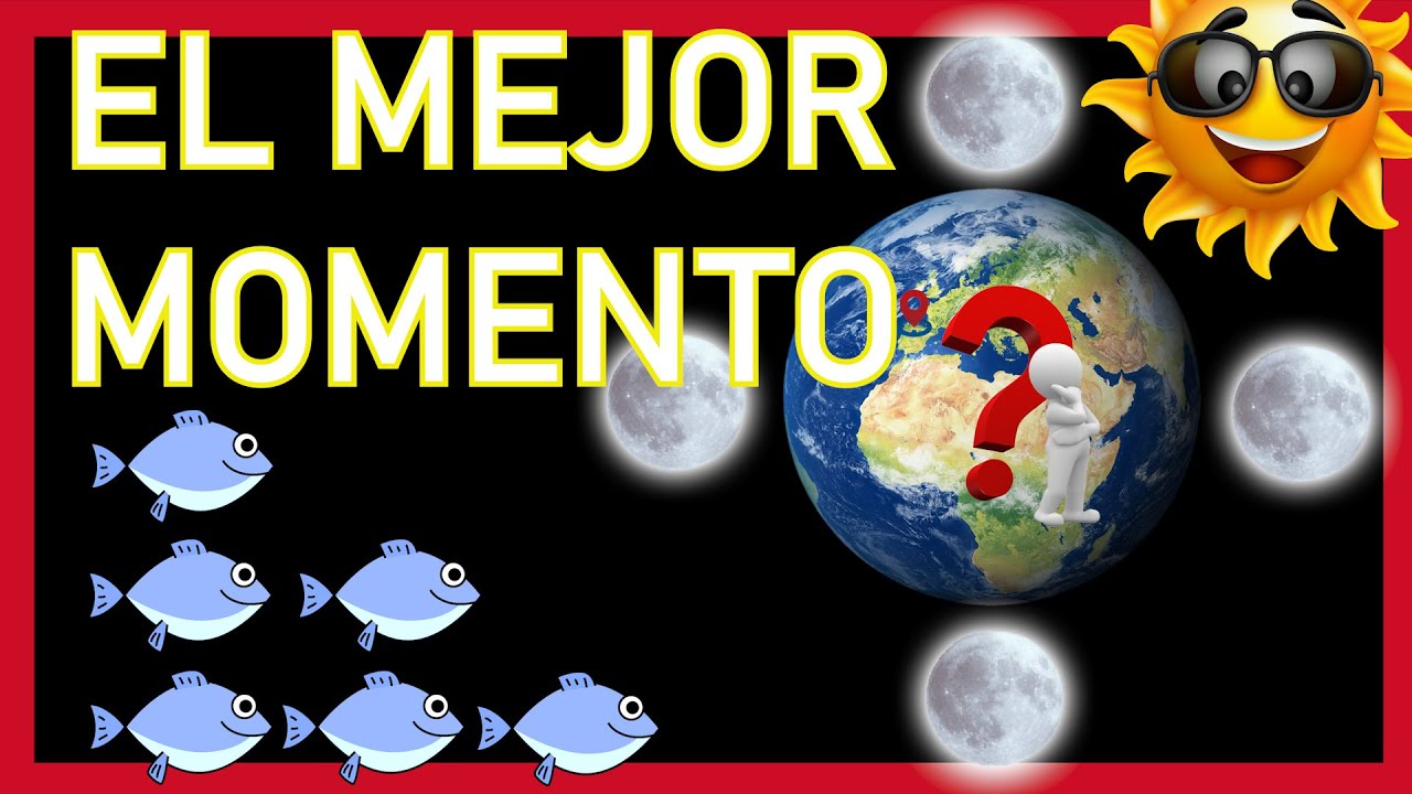 actividad de los peces para hoy