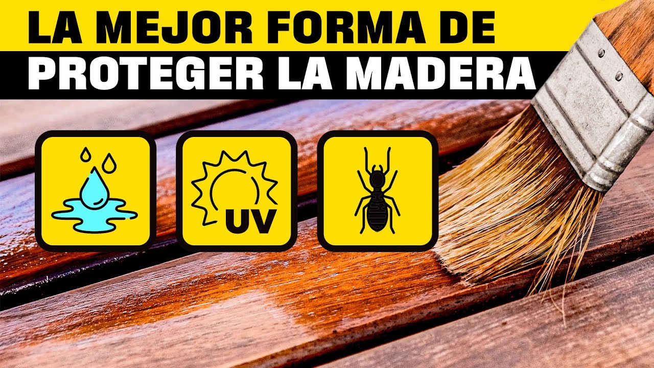 cosa que se pone encima para proteger
