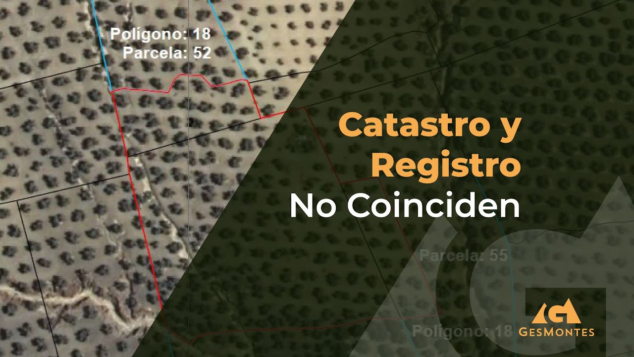 dos fincas registrales una única vivienda