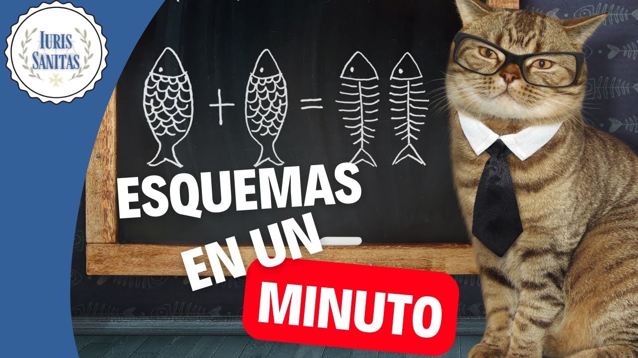 esquema ley de salud de extremadura