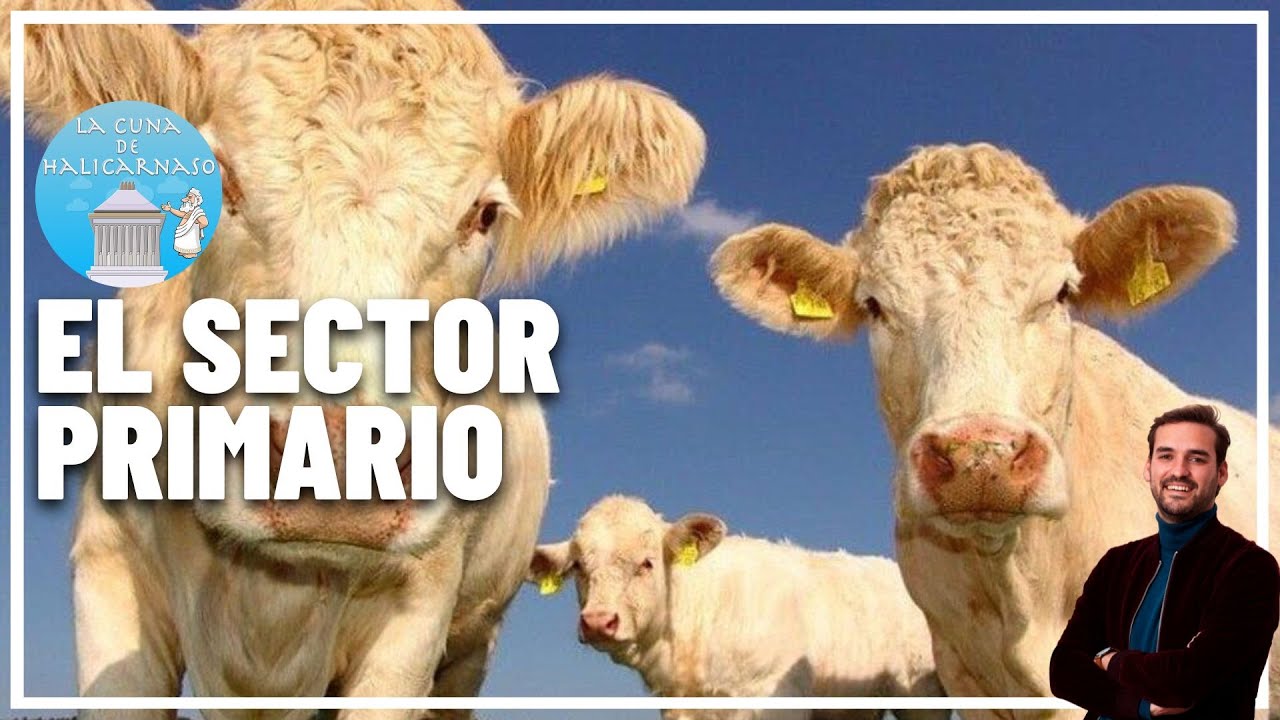 examen sector primario 3 eso pdf