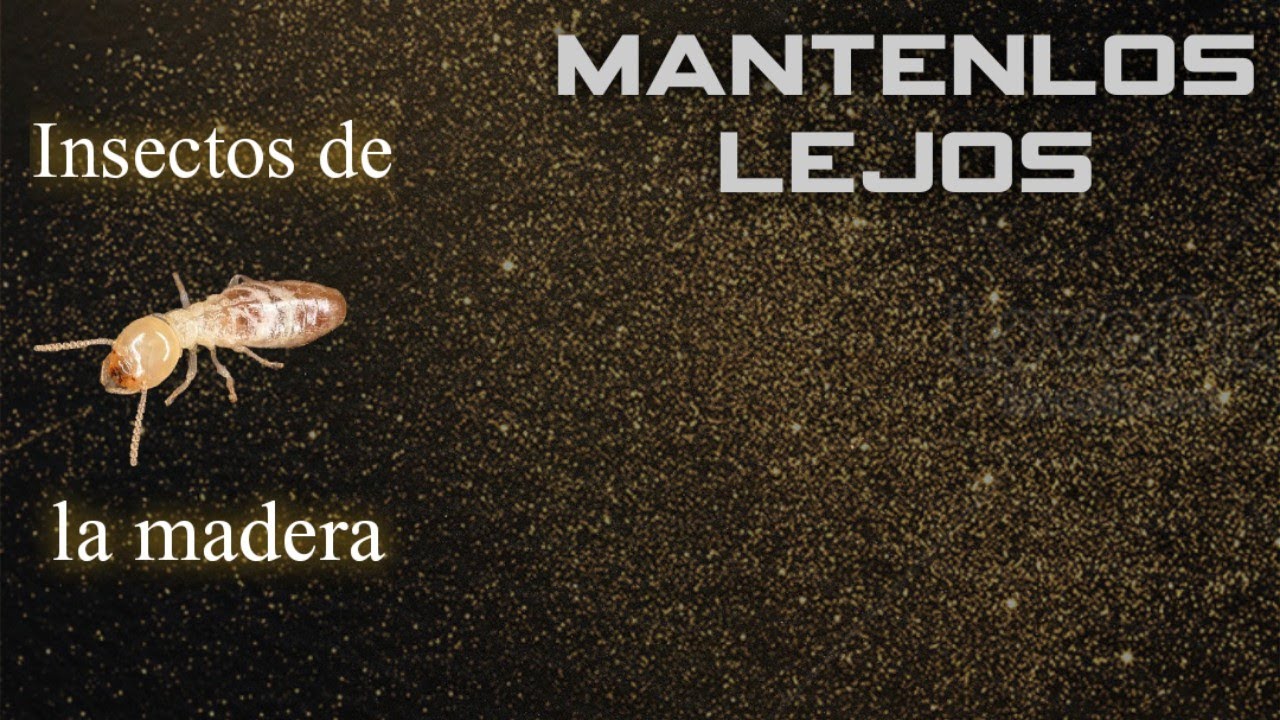 organismo que vive en la madera