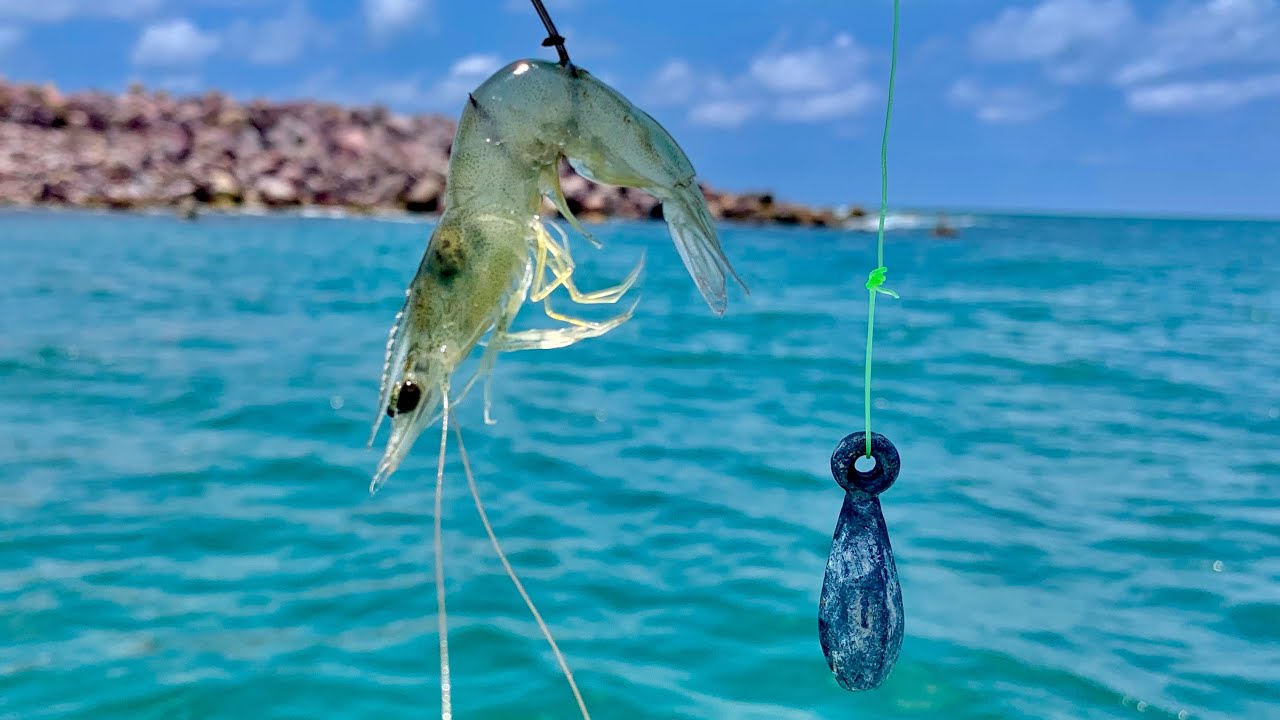 que es la pesca de fondo