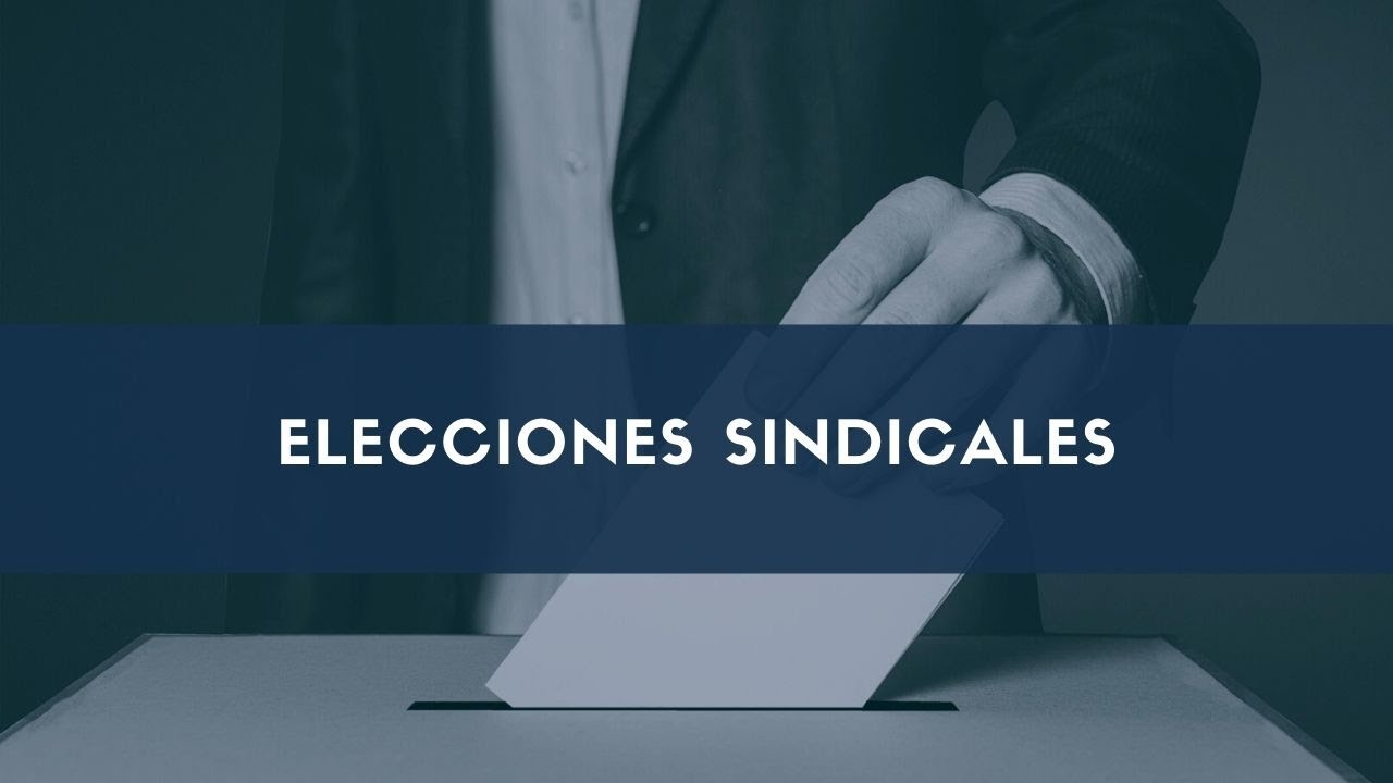 trabajador en excedencia puede votar en elecciones sindicales