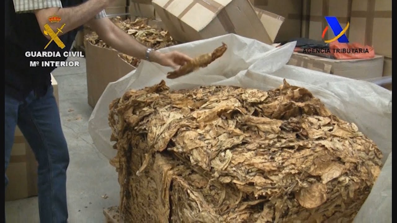 comprar hojas de tabaco en extremadura