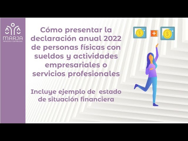 declaracion de situacion de la actividad