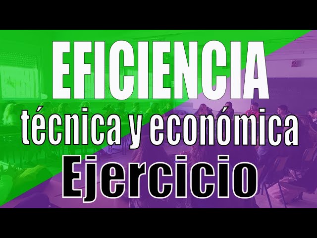 ejercicios de eficiencia tecnica y economica