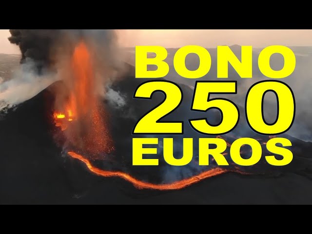 establecimientos adheridos bono turístico la palma