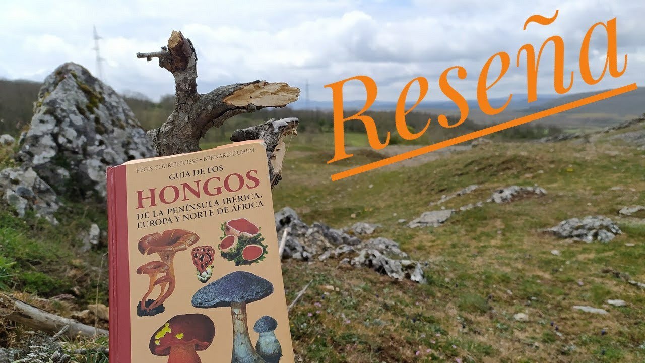 guia de hongos de la peninsula iberica pdf