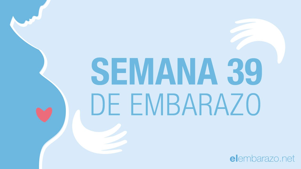 hace 39 semanas que dia era