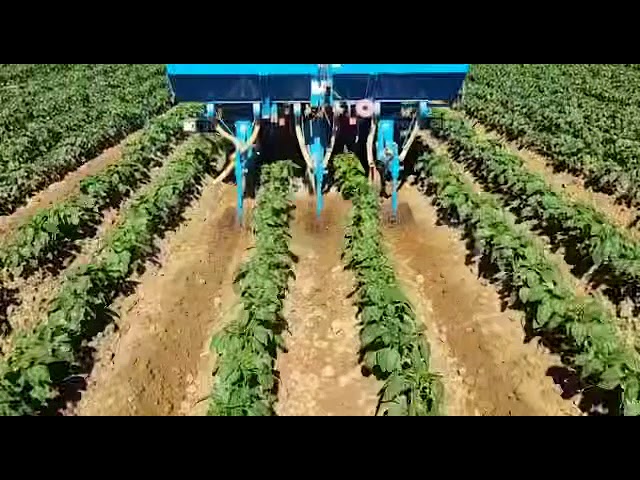la huerta de fresno conservas naturales de alta calidad