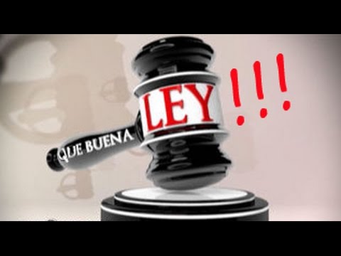 ley 27 2013 de 27 de diciembre
