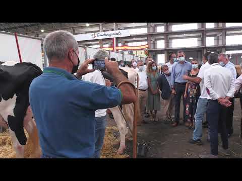 mercado nacional de ganados jesús collado soto