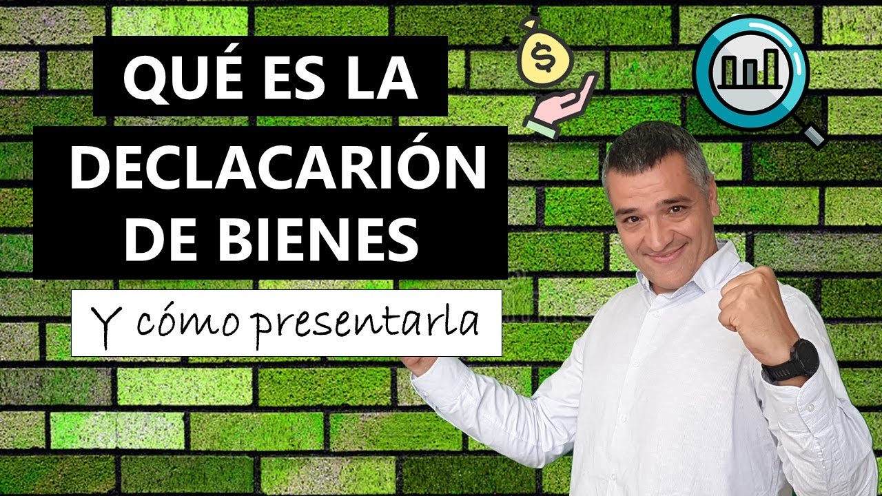 modelo declaración de bienes para banco