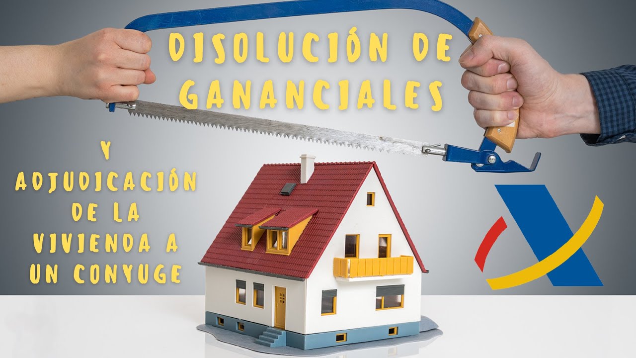 modelo disolución comunidad de bienes sin reparto