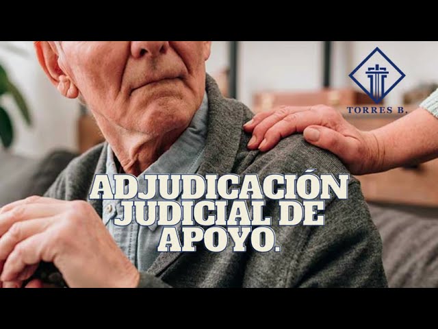 modelo solicitud de medida judicial de apoyo de carácter estable