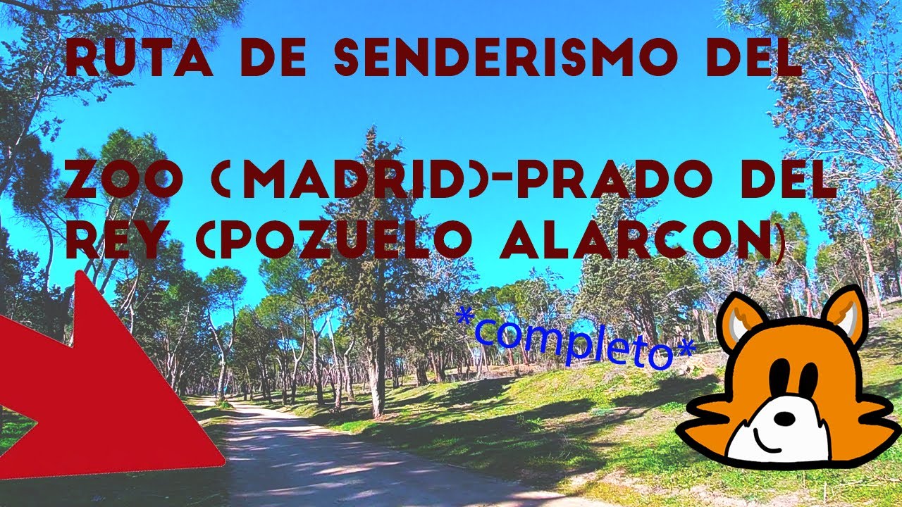 paseo de la casa de campo 1 pozuelo de alarcón
