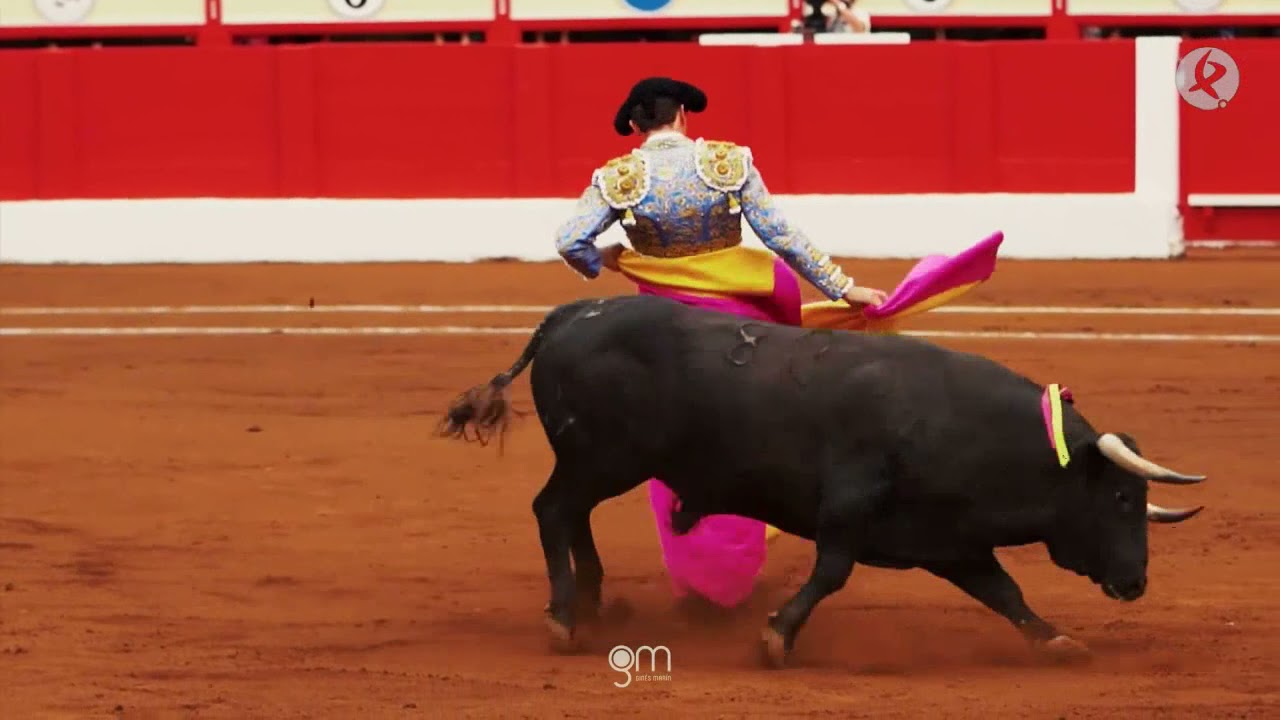 quien es ana lorenzo gines marin