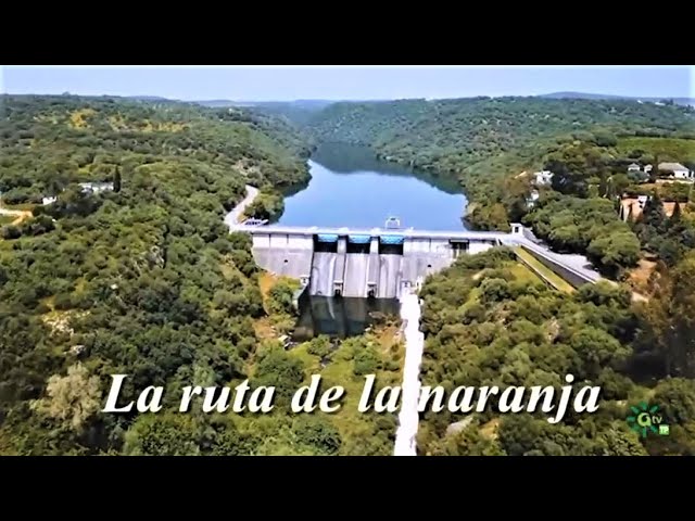 trenes de palma del río a córdoba