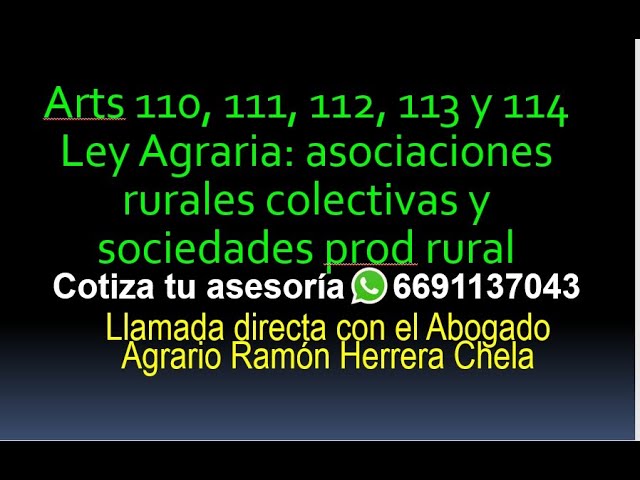 articulo 194 directiva 2006 112 ec