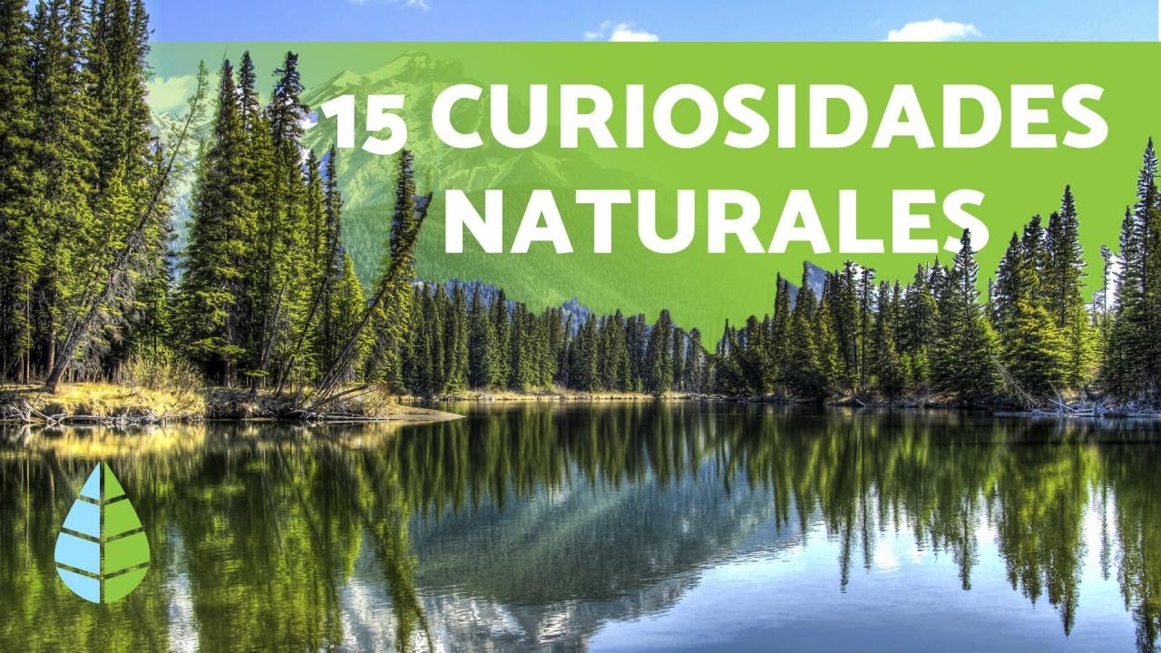 banco de datos de la naturaleza