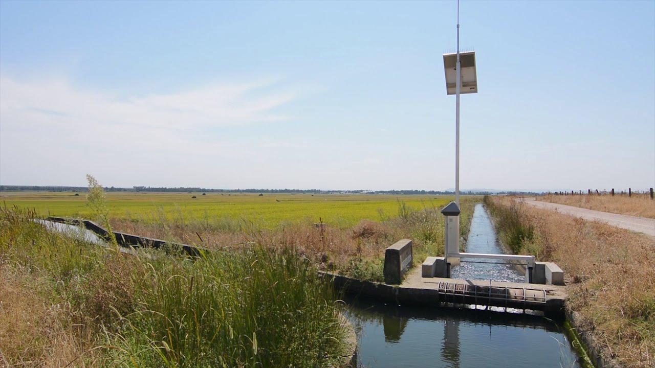 comunidad de regantes canal de orellana
