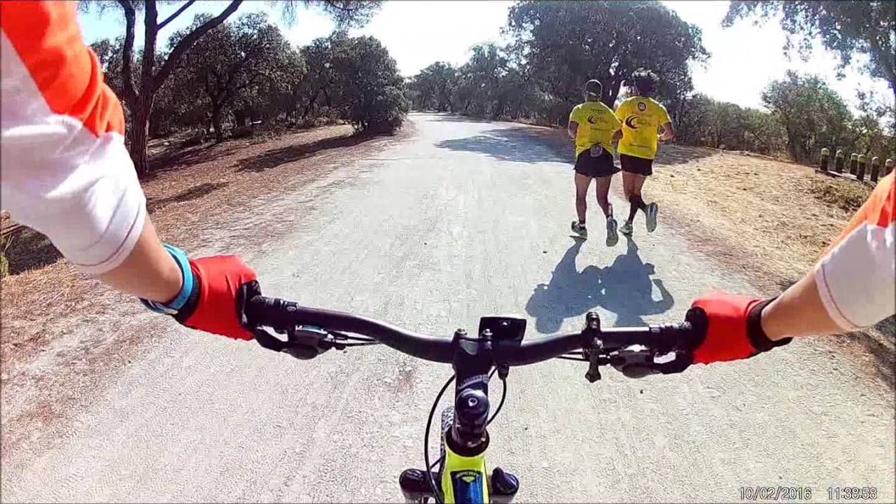 creade pozuelo paseo de la casa de campo 1