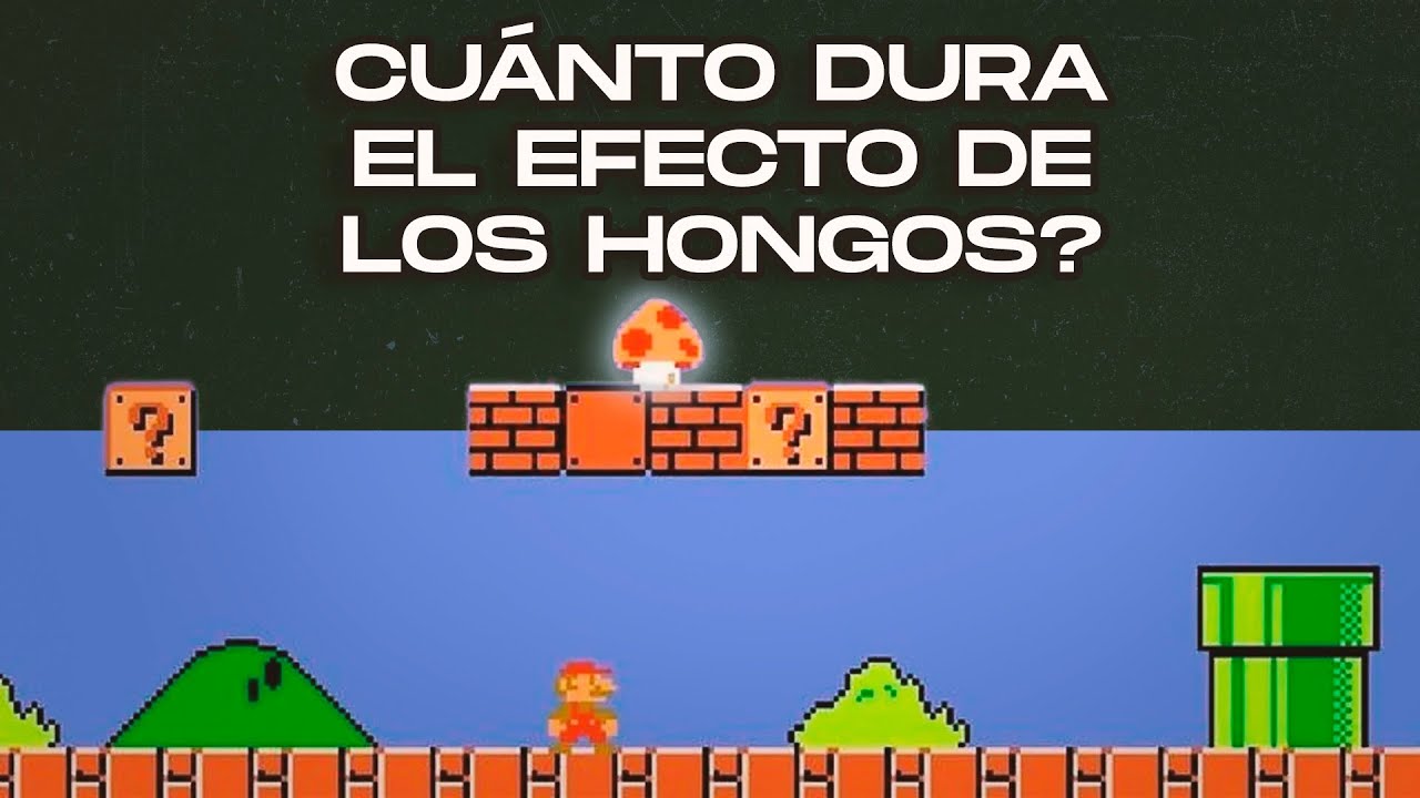 cuanto dura el efecto de las setas