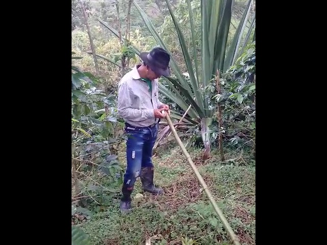 cuanto equivale una tarea de tierra