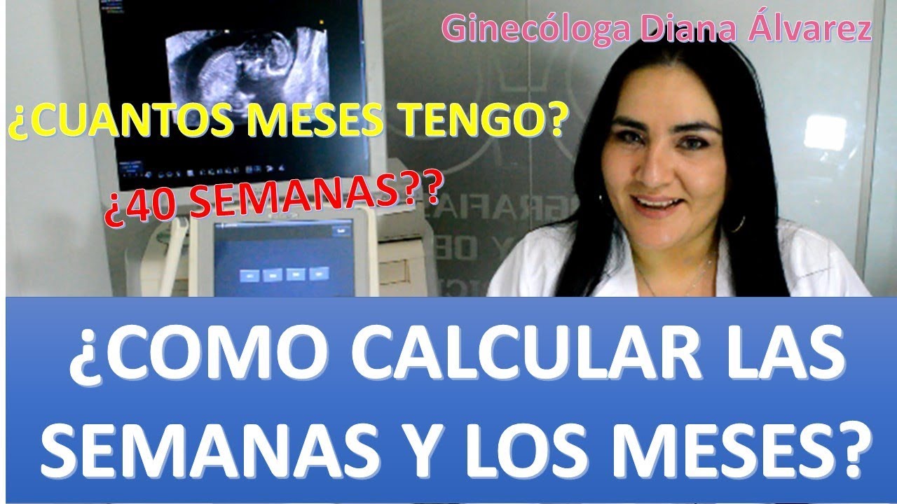 cuanto son 100 dias de embarazo