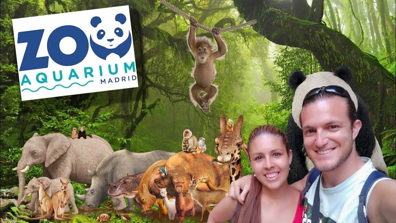 cuanto tiempo se tarda en ver el zoo de madrid