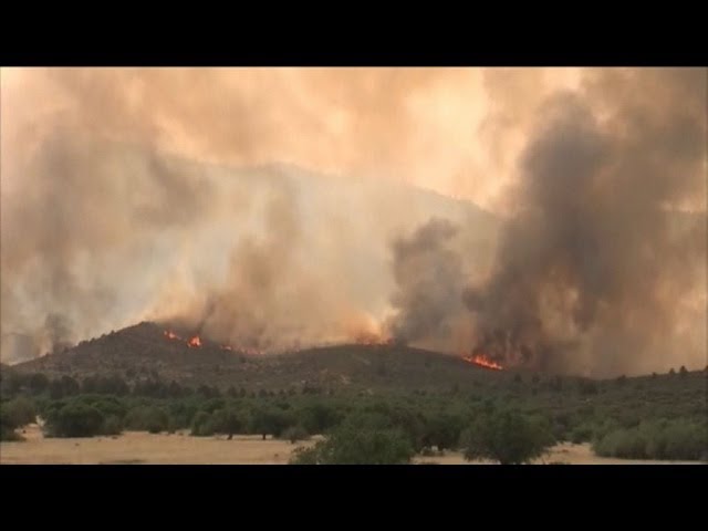 cuantos bomberos mueren al año en españa