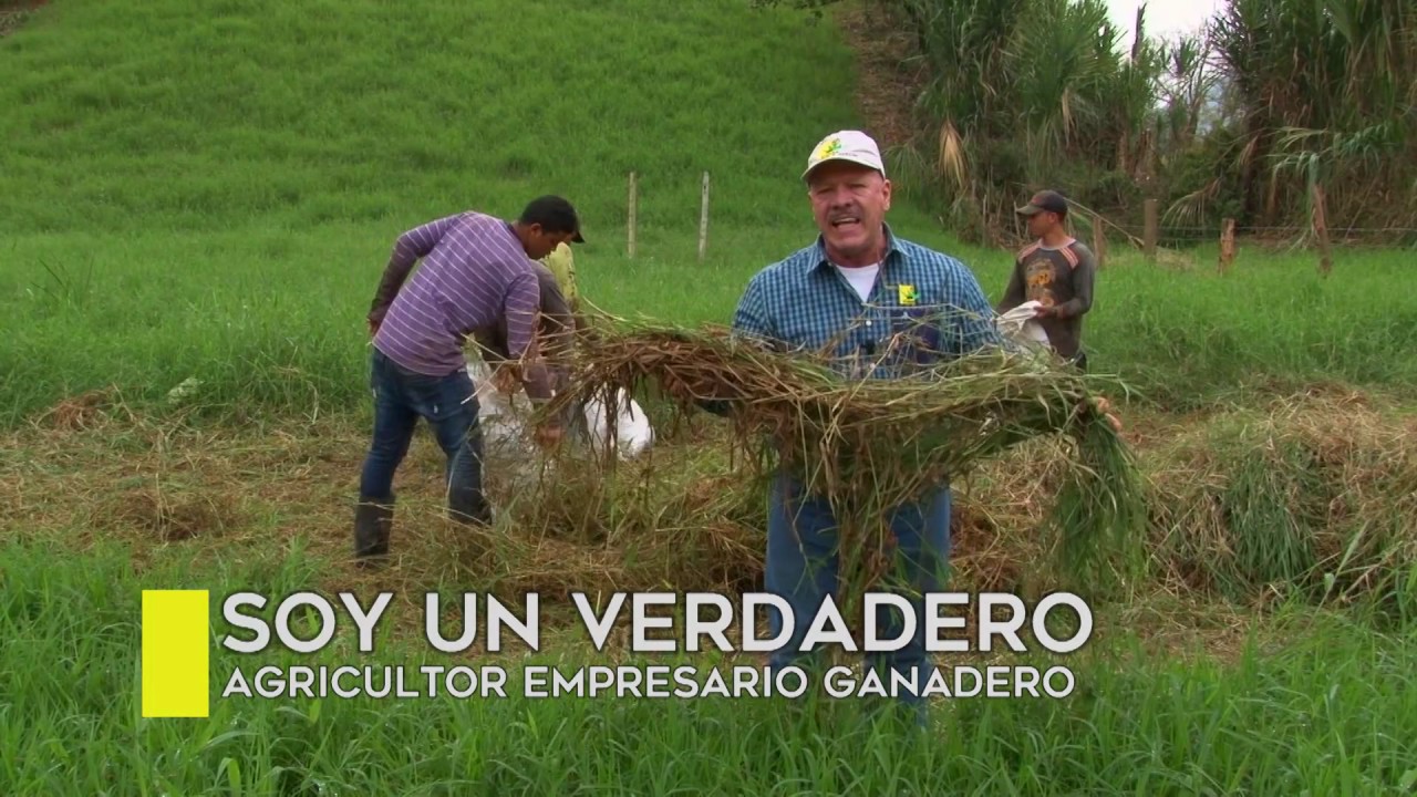 diferencias entre ganadería intensiva y extensiva