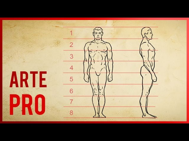 disposición o proporción del cuerpo humano