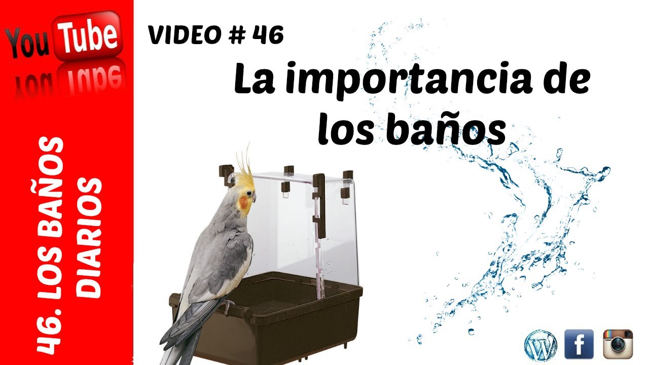 donde están los baños en el ave