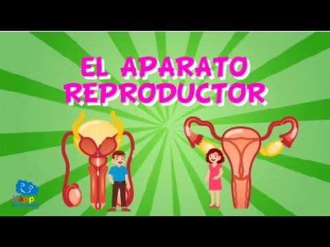 ejercicios de la reproducción humana 6 primaria pdf