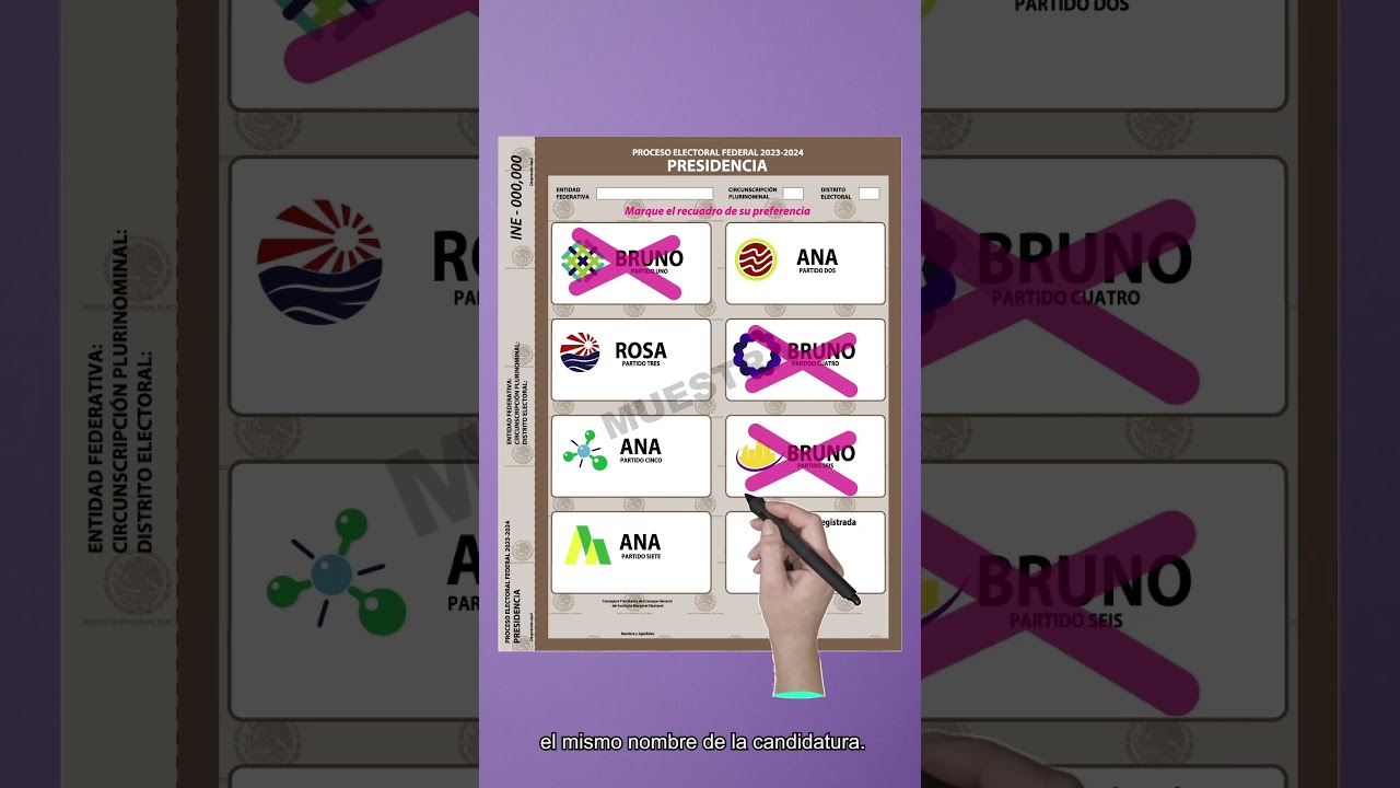 instituto nacional de estadistica voto por correo