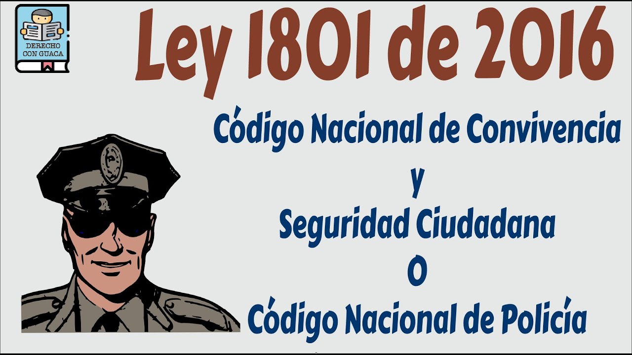 ley 27 2006 de 18 de julio
