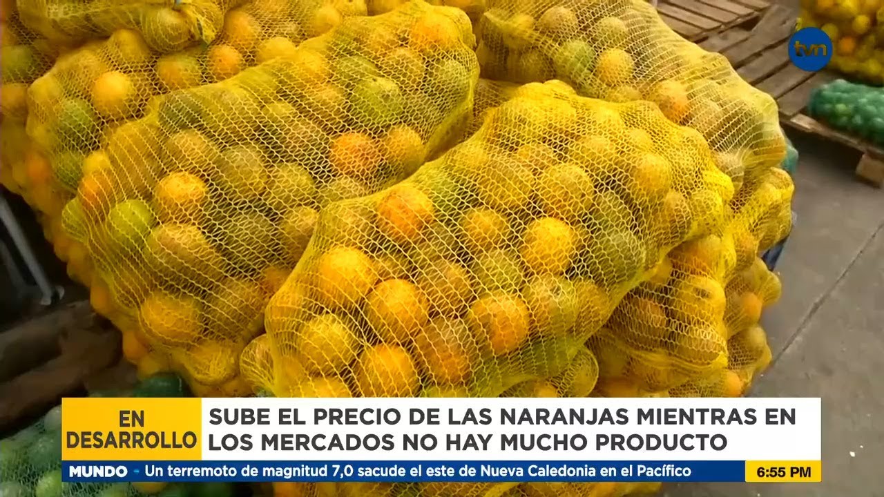 precios de las naranjas en oliva hoy