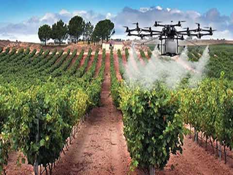 que es la agricultura de mercado