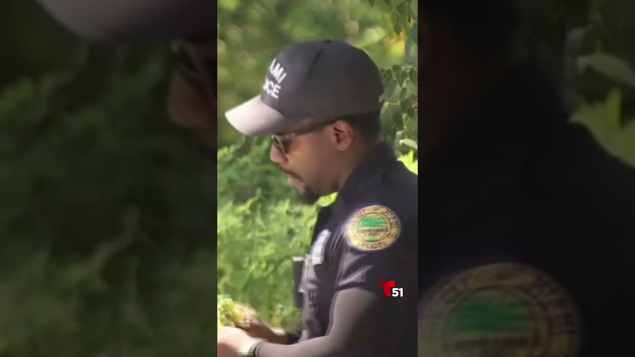 que es un ocupante de hecho
