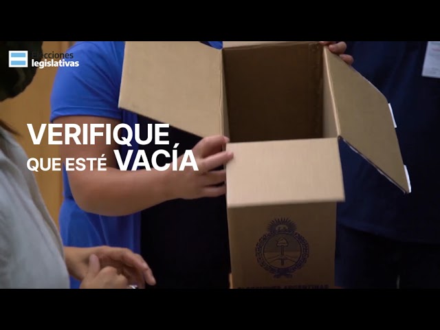 quien debe introducir el voto en la urna