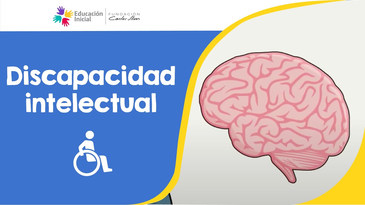 tareas complementarias de apoyo discapacidad intelectual