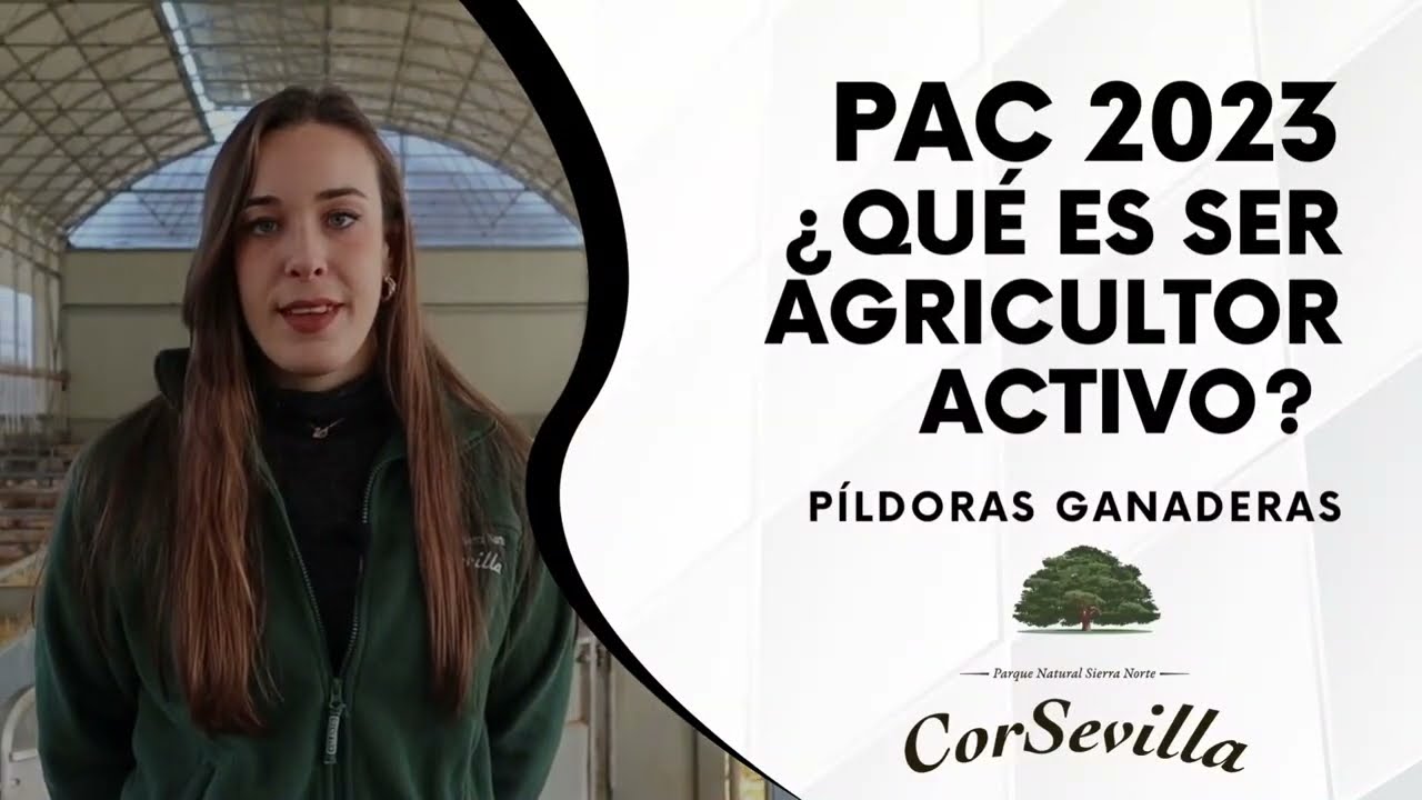 vaca nodriza en la nueva pac