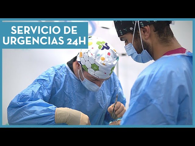 veterinario 24 horas puerto de sagunto