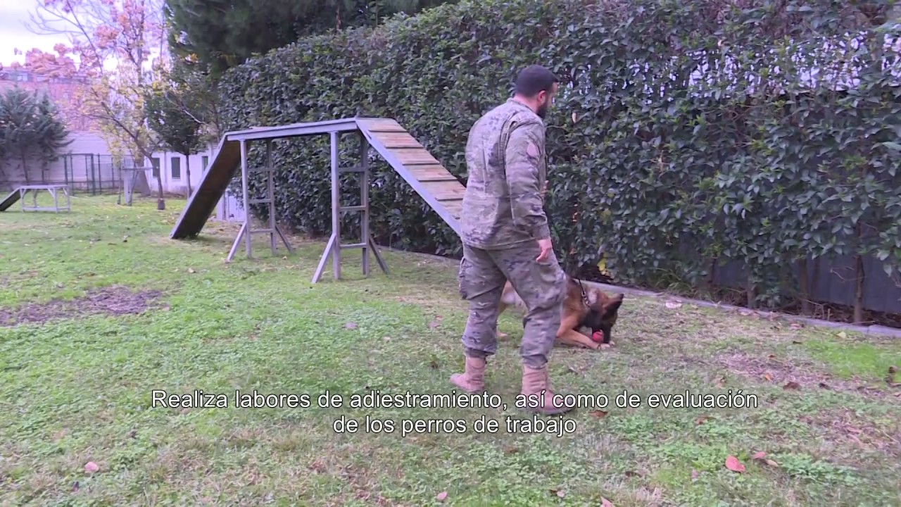 centro militar canino de la defensa