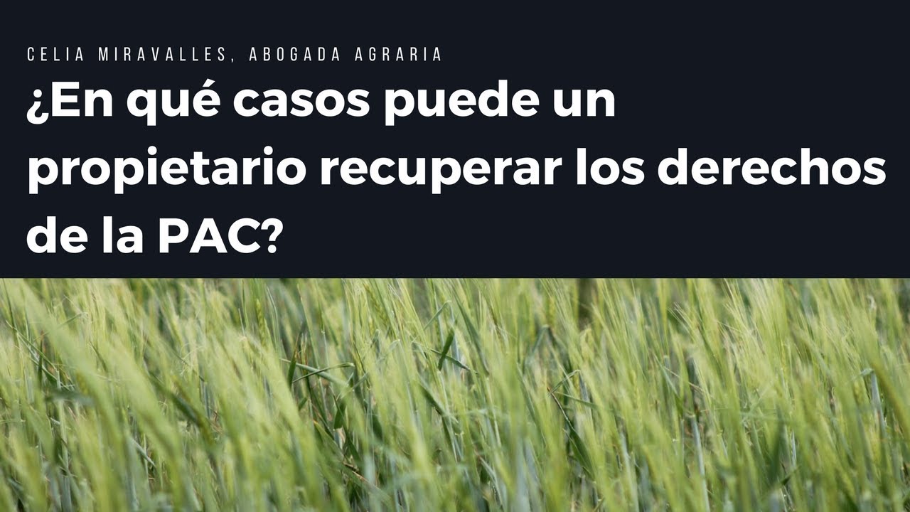 como se traspasan los derechos de la pac