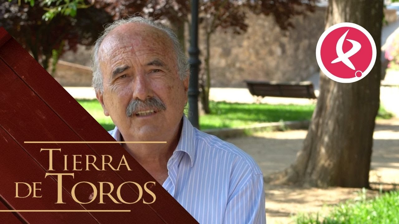 como ser presidente de plaza de toros