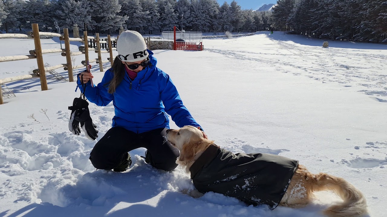hay nieve en el puerto de la morcuera
