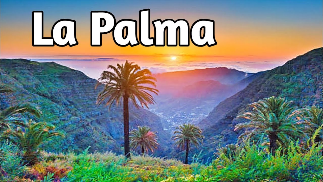 viajar a la isla de la palma